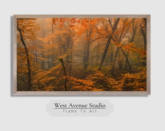 May include: A framed photograph of a misty forest in autumn. The trees are a vibrant orange and yellow, and the fog creates a soft, ethereal atmosphere.