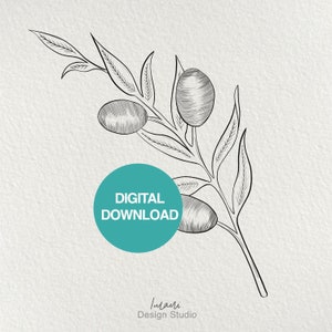 Palestinian Olive Tree Branch Palestine Artwork Digital Download Black White Free Palestine High Resolution 300DPI JPEG PNG PDF 1:1 Ratio