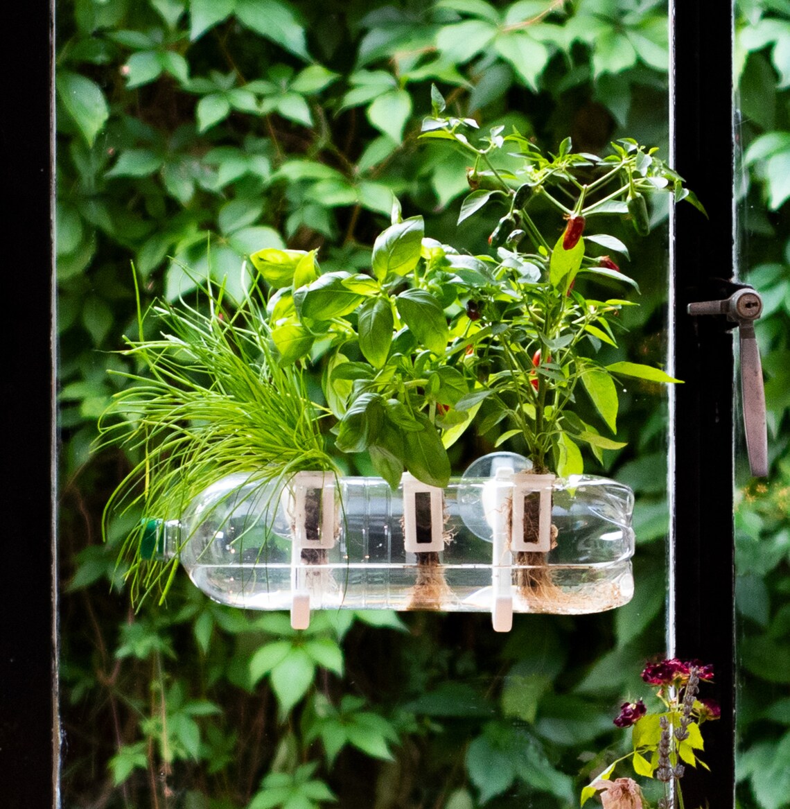 Bottle Farm Grow Your Own Kit Use Any Plastic Bottle Etsy