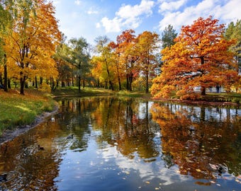 500 piece puzzle, Nature puzzle of colorful trees and lake, Great puzzle for adults and families.