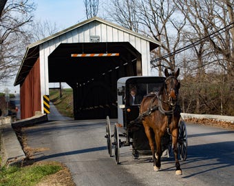 1000 piece puzzle, Covered bridge and horse puzzle. Great puzzle for adults and families