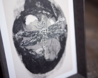 Libellule Print - fabriqué à partir de véritable insecte (5 x 7)