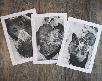 Infestation Print Set (5x7) - Cigale, Libellule, Papillon