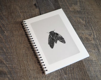 Carnet de croquis cigale