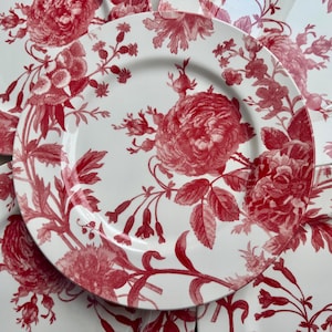 New Vintage Style Transferware - Dinner Plates 11” - Royal Stafford England bild 1