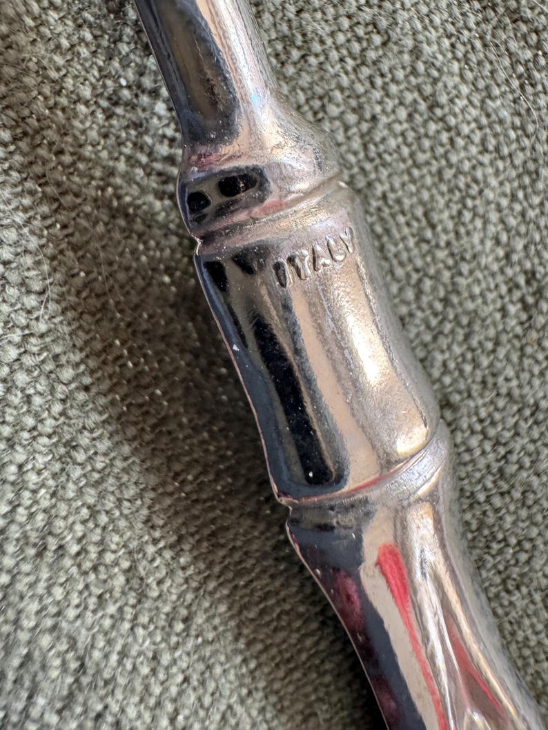 May include: Close-up of a shiny, silver metal object with a bamboo-like design. The word "ITALY" is stamped on the object. The object is set against a textured, green background.