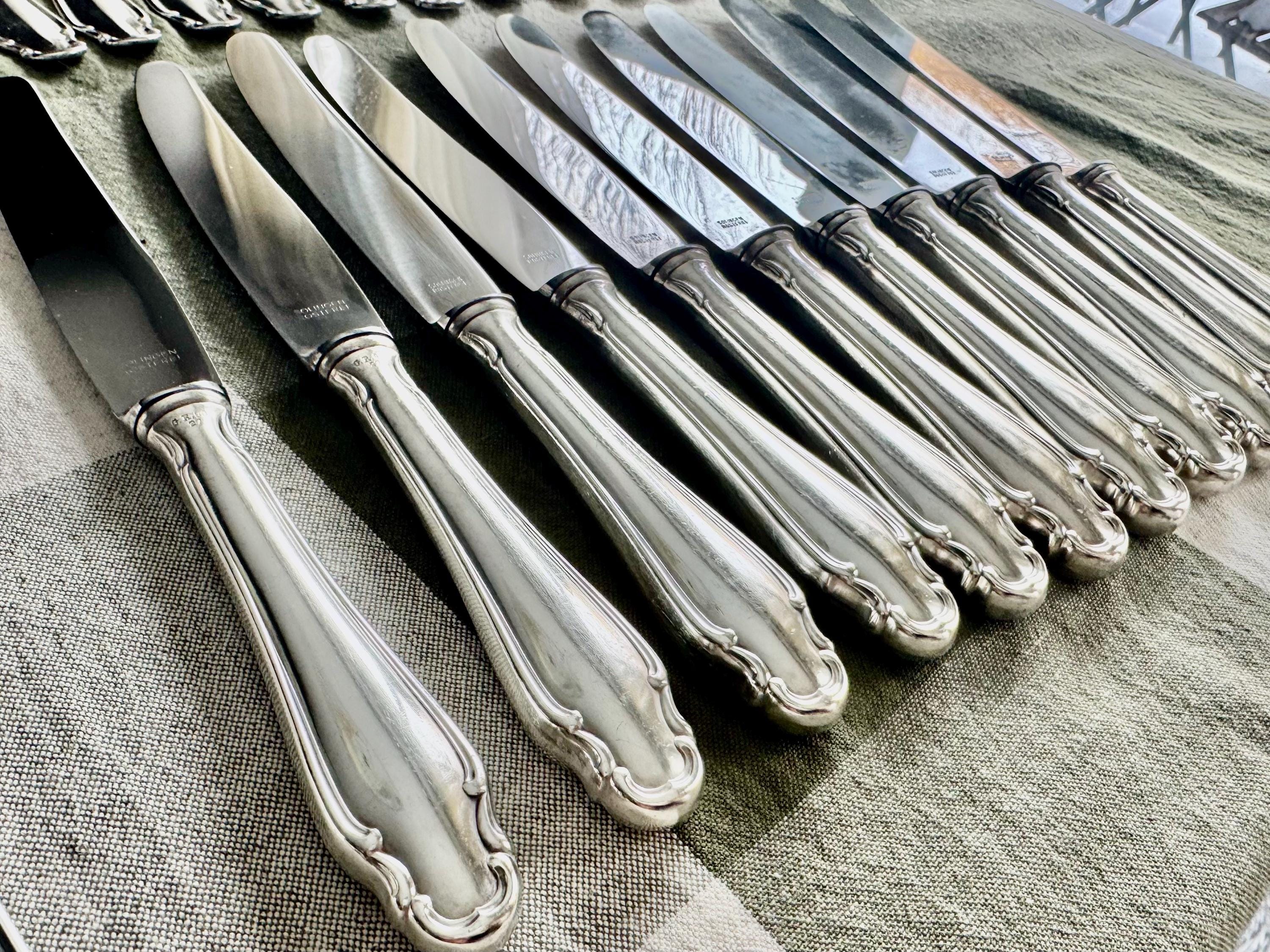 Rostfrei Solingen Silverplate Flatware – Complete Service for 11 + Extras – Germany