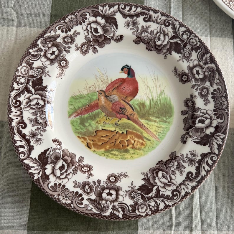 Exquisite Vintage English Animal Collection Plates – Wall Gallery Set of 7 image 7