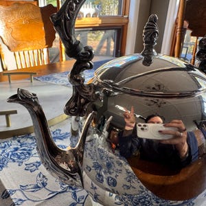 May include: A polished silver-tone metal tea kettle featuring an ornate, curved handle and a matching decorative lid finial. The kettle has a long, slender spout and a rounded body with a highly reflective surface.