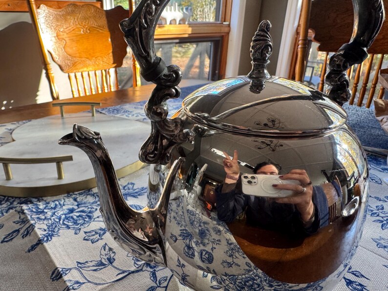 May include: A polished silver-tone metal tea kettle featuring an ornate, curved handle and a matching decorative lid finial. The kettle has a long, slender spout and a rounded body with a highly reflective surface.