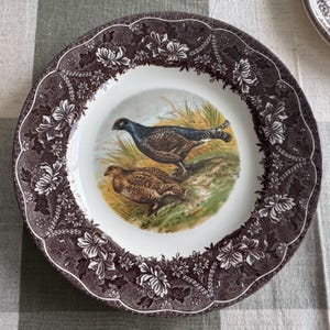Exquisite Vintage English Animal Collection Plates – Wall Gallery Set of 7 image 3