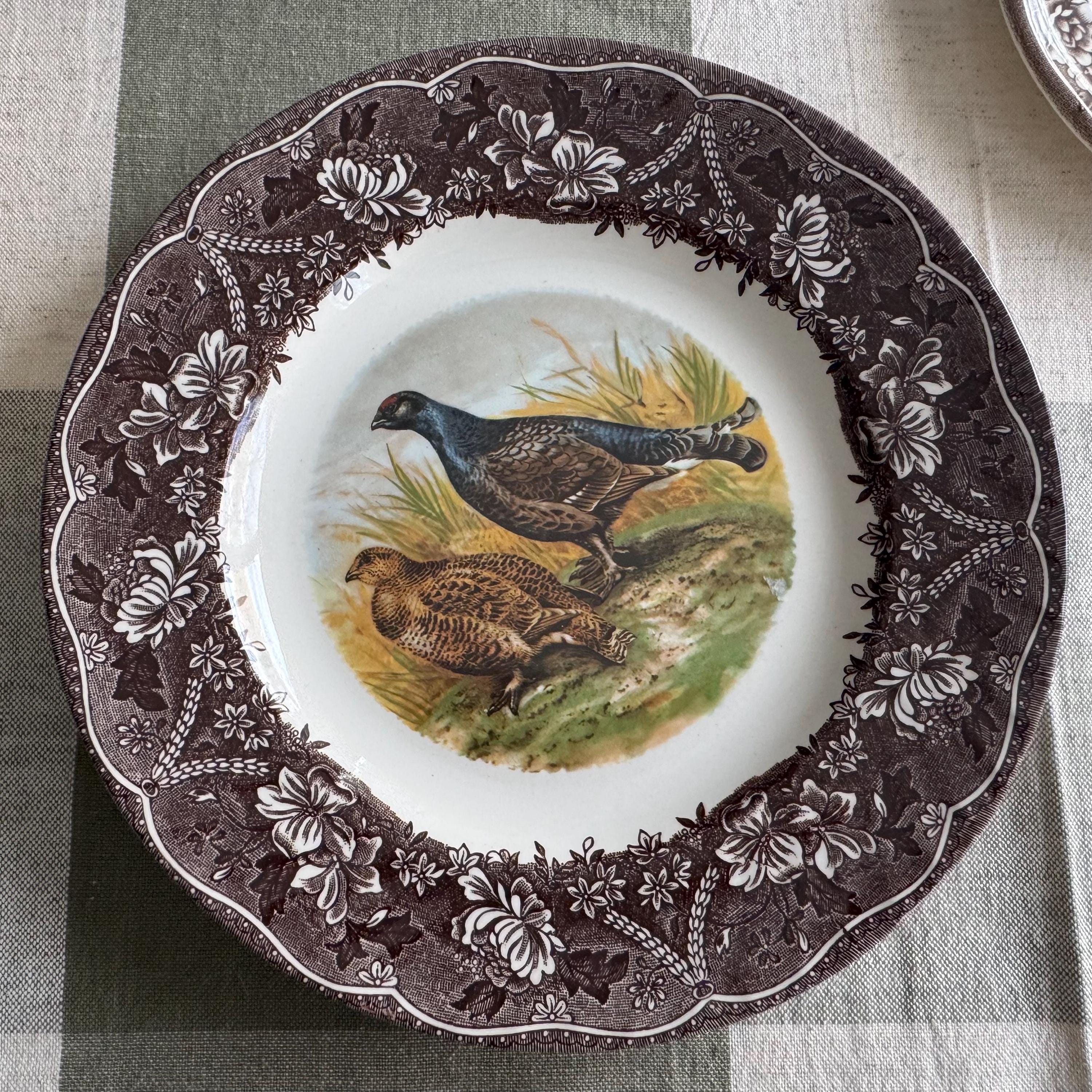 Exquisite Vintage English Animal Collection Plates – Wall Gallery Set of 7