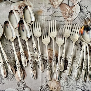 Op de afbeelding: Een assortiment vintage zilveren lepels en vorken met bloemendetails. De lepels en vorken zijn gerangschikt op een oppervlak met patronen, waarbij hun reflecterende oppervlakken en ingewikkelde ontwerpen worden getoond. Een klassieke set voor het diner.