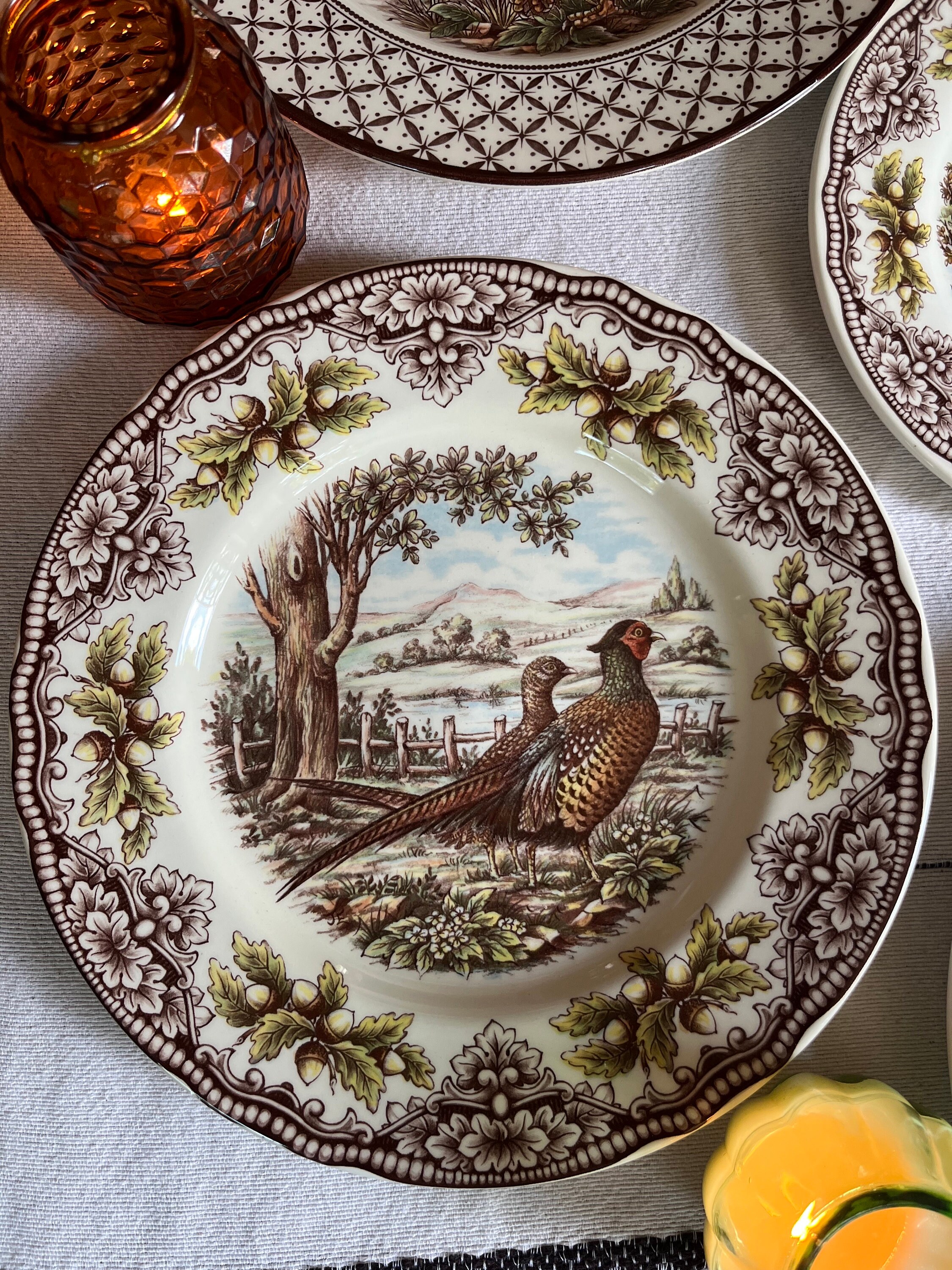 Royal Stafford Transferware Dinner Plates: Thanksgiving Fall Decor, Made in England