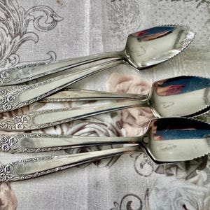Vintage NASCO “Mariana / Jasmin” Stainless Flatware Collection – Floral Roses Pattern Korea bild 4