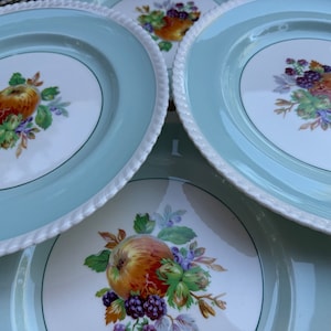 Puede incluir: Juego de cuatro platos de cer&aacute;mica vintage con un borde azul claro y un centro blanco con un dise&ntilde;o de frutas coloridas. Los platos tienen un borde de cuerda.