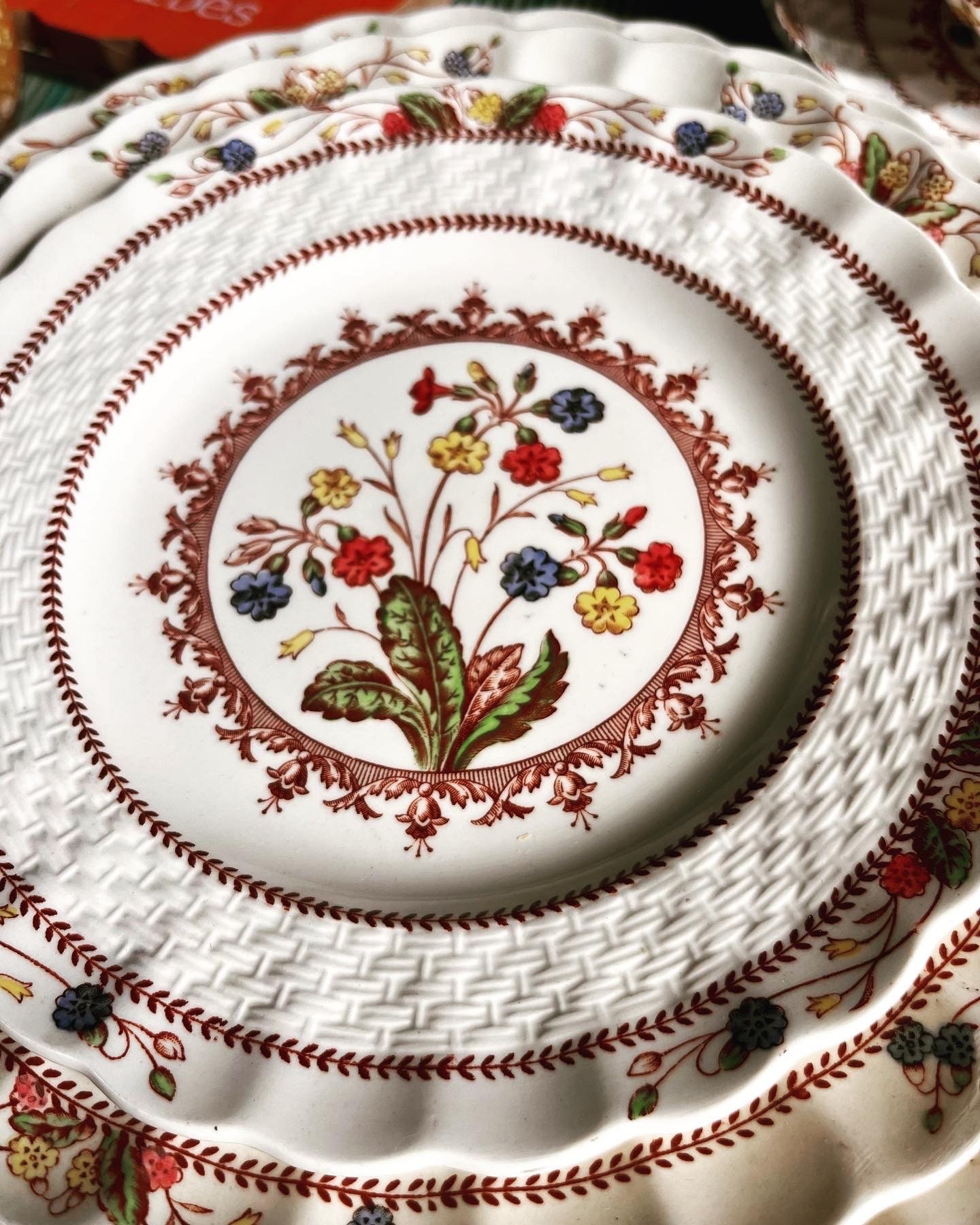 Vintage Spode England - Cowslip - Dinner Plates Sets