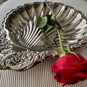 K&ouml;nnte beinhalten: Eine silberfarbene Servierschale in Form einer gro&szlig;en Jakobsmuschel mit gewelltem Rand und floraler Pr&auml;gung am Griffbereich. Eine einzelne rote Rose mit gr&uuml;nem Stiel und Bl&auml;ttern liegt diagonal &uuml;ber der Mitte der Schale.
