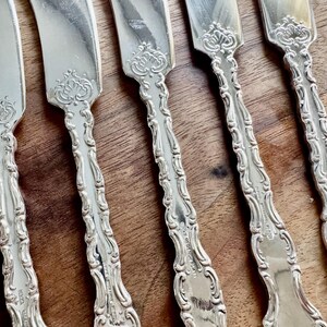 Vintage verzilverde strooiers — Birks Regency "Louis de France" bestek — set van 8 afbeelding 4