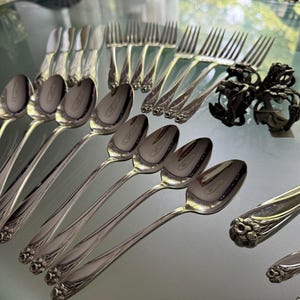 Pu&ograve; includere: Un set di posate in acciaio inossidabile color argento che include diversi cucchiai, forchette e coltelli con manici a rilievo floreale, accompagnato da quattro portatovaglioli in metallo scuro con un design traforato.