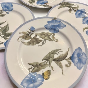 K&ouml;nnte beinhalten: Satz wei&szlig;er Keramikteller mit hellblauem Blumendesign, das blaue Prunkwinden, gr&uuml;ne Bl&auml;tter und einen gelben Schmetterling zeigt. Jeder Teller hat einen hellblauen Rand. Die Teller sind auf einer wei&szlig;en Oberfl&auml;che angeordnet.