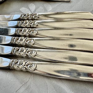Vintage South Seas Community Silverplate Flatware Set (47 items) – Full Set for 6 Persons (Mid-Century) bild 2