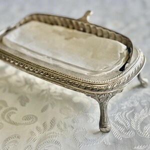 May include: A silver-colored, rectangular serving dish with a clear glass insert. The dish has ornate detailing around the edges and sits on four curved feet. The handle is curved and raised.