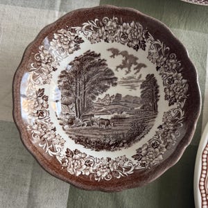 Exquisite Vintage English Animal Collection Plates – Wall Gallery Set of 7 image 9
