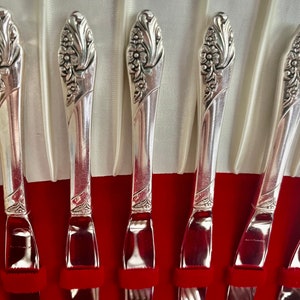 May include: Close-up of a set of silver-colored flatware. The handles are adorned with a floral design. The flatware is arranged in a red velvet-lined case with a white satin backdrop.