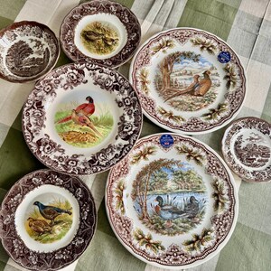Exquisite Vintage English Animal Collection Plates – Wall Gallery Set of 7 image 10