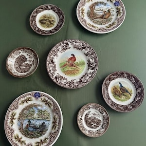 Exquisite Vintage English Animal Collection Plates – Wall Gallery Set of 7 image 1