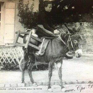 K&ouml;nnte beinhalten: Ein Schwarzwei&szlig;foto von einem jungen Menschen, der auf einem Esel reitet. Der Esel tr&auml;gt einen Holzkarren mit einem gro&szlig;en Fass. Das Foto wurde vor einem wei&szlig;en Geb&auml;ude mit einem Fenster aufgenommen.