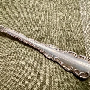 May include: A silver spoon with an ornate, detailed handle. The spoon's bowl is round and polished, and the handle features a scrolling, floral design. The spoon is set against a textured, olive-green background.