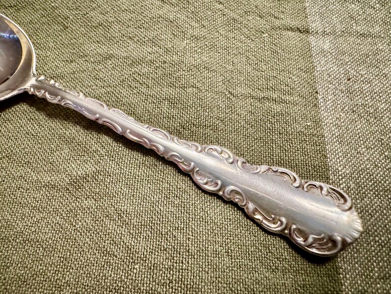 May include: A silver spoon with an ornate, detailed handle. The spoon's bowl is round and polished, and the handle features a scrolling, floral design. The spoon is set against a textured, olive-green background.