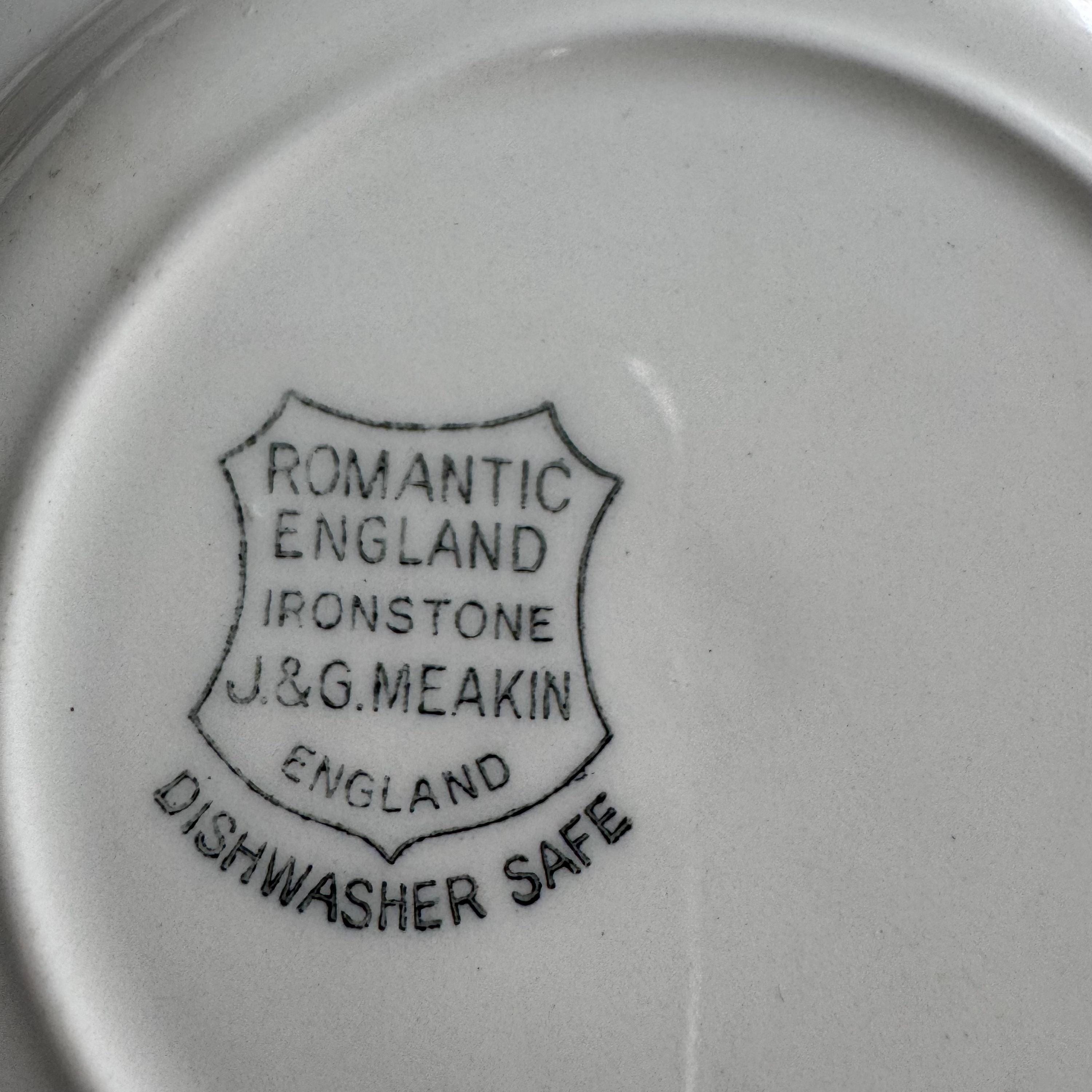 Exquisite Vintage English Animal Collection Plates – Wall Gallery Set of 7