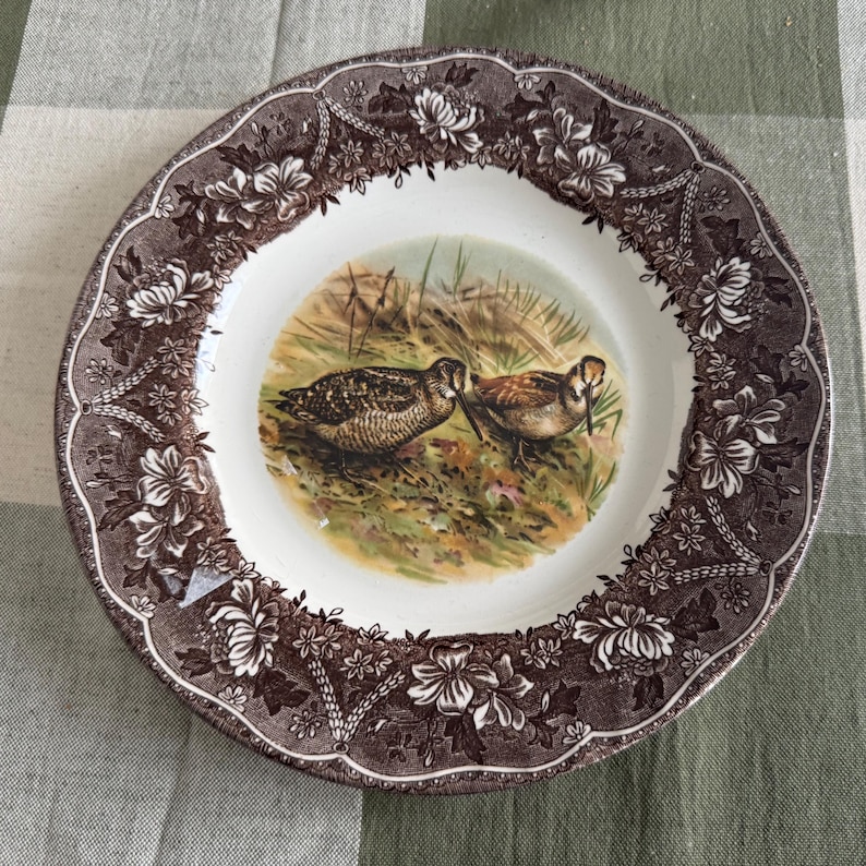 Exquisite Vintage English Animal Collection Plates – Wall Gallery Set of 7 image 6