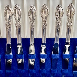 K&ouml;nnte beinhalten: Ein Satz silberbeschichteter Messer mit verzierten Griffen, pr&auml;sentiert in einem blau samtenen Etui. Die Messer sind in Reihen angeordnet, mit den Griffen nach oben.