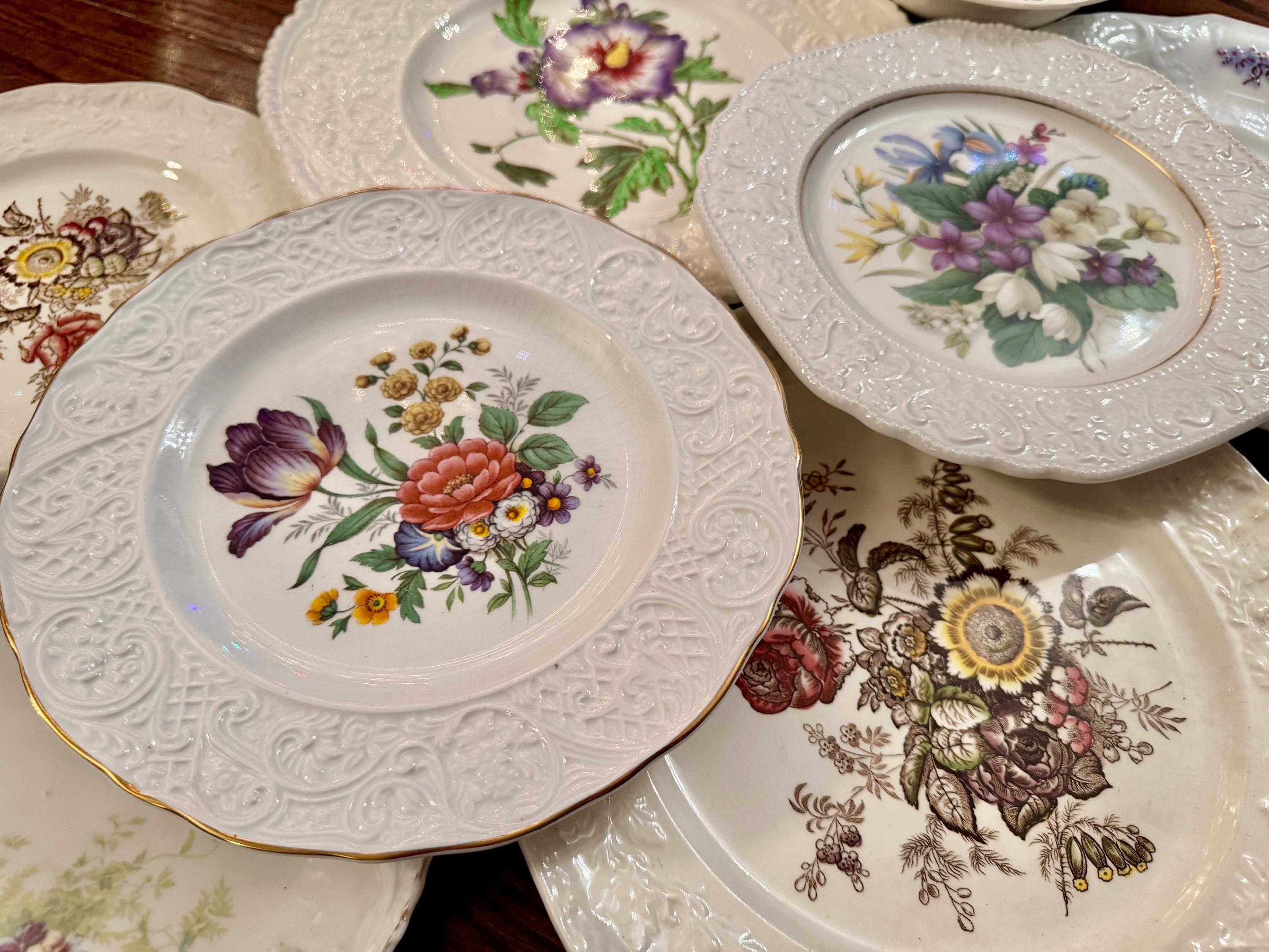 Vintage Floral Plate Wall Gallery Set of 5, Mason’s & Mismatched Porcelain Plates, Botanical Wall Decor