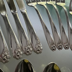 Pu&ograve; includere: Un set di posate in acciaio inossidabile color argento con un motivo floreale decorativo alla base di ogni manico. Il set comprende diversi coltelli, forchette e cucchiai disposti in file, caratterizzati da una finitura metallica lucida.