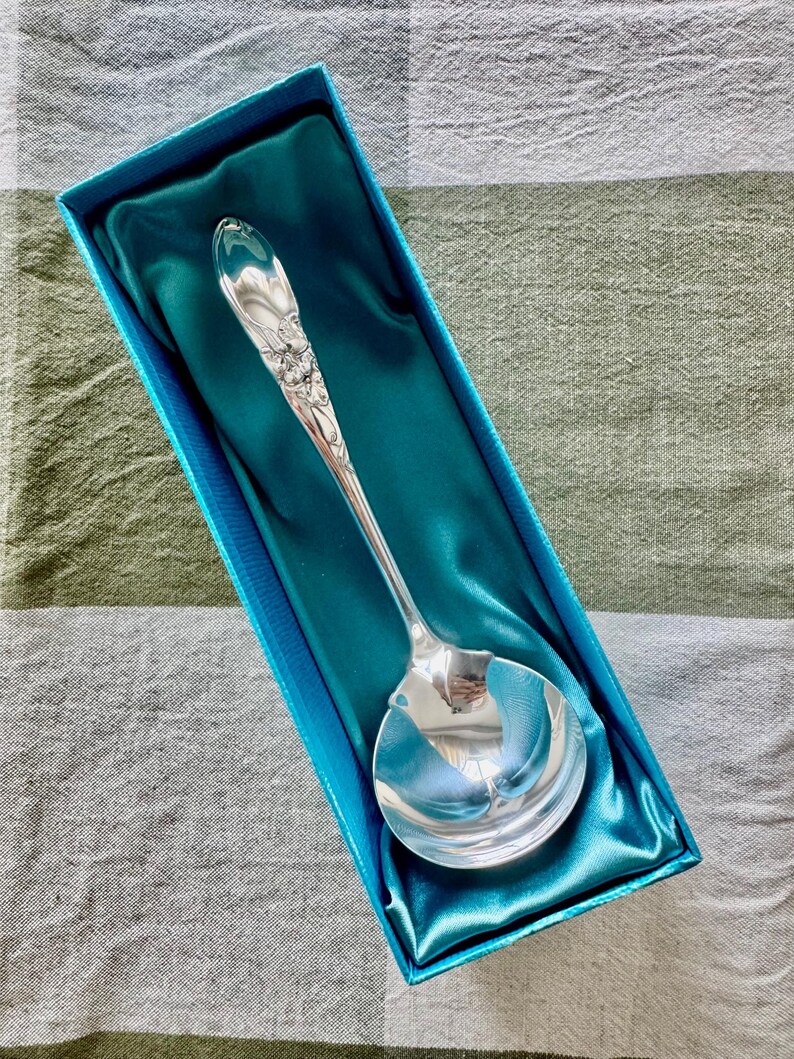 Op de afbeelding: Een zilveren pollepel met bloemendetails, gepresenteerd in een met turquoise satijn gevoerde doos. De kom van de pollepel is rond en reflecterend, en de steel heeft een sierlijk ontwerp. De doos is lichtblauw en de achtergrond is een ruitpatroon.