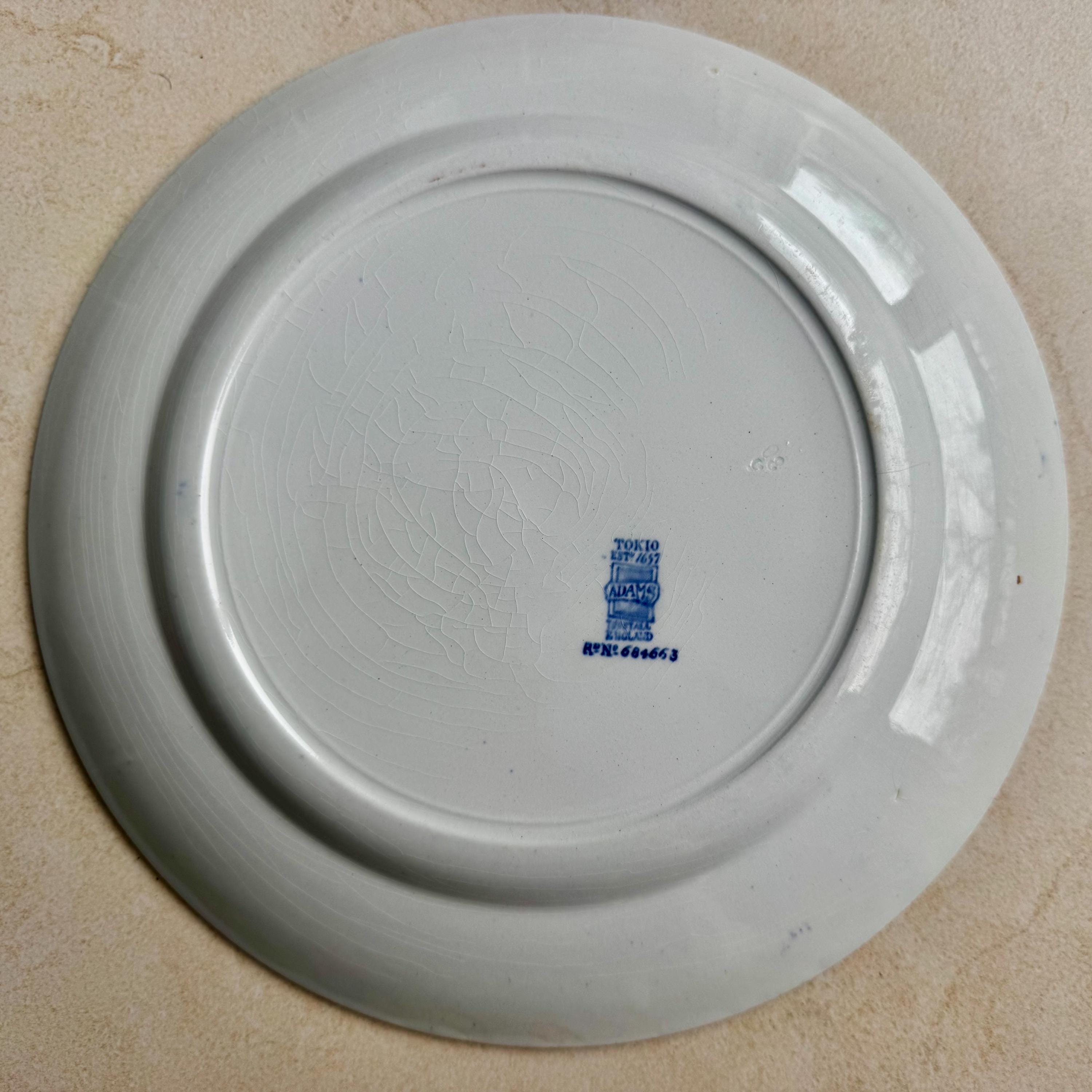 Rare Unique Antique Blue & White Transferware Wall Plate Collection – 5-Piece Assortment