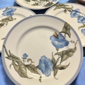 K&ouml;nnte beinhalten: Ein Satz wei&szlig;er Keramikteller mit hellblauem Rand. Jeder Teller zeigt eine detaillierte Illustration von blauen Prunkwinden und gr&uuml;nen Bl&auml;ttern. Die Teller sind auf einer blauen Oberfl&auml;che angeordnet.
