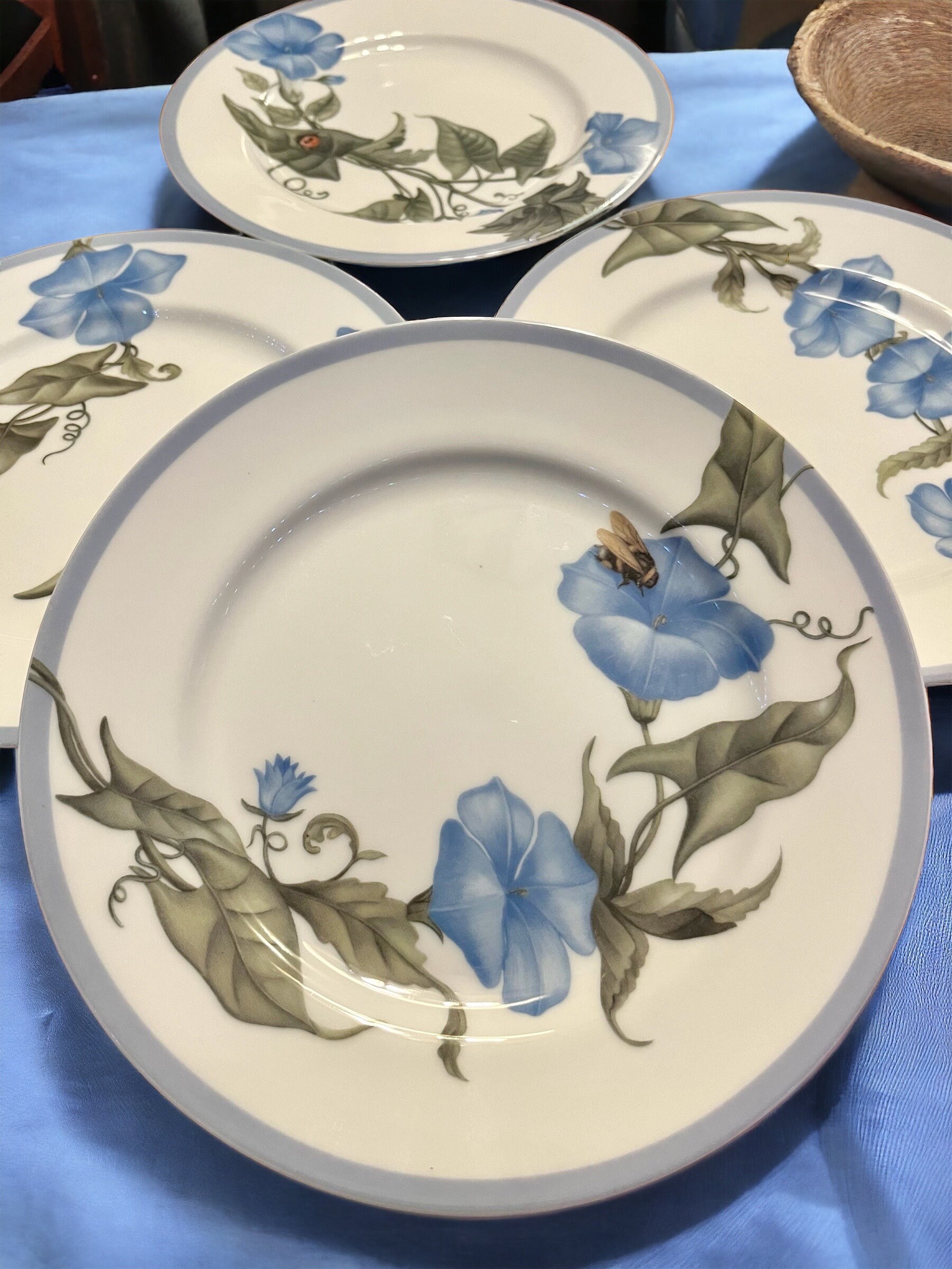 Williams-Sonoma - Set of 4 Salad Plates 8” Spring Blue Flowers & Bugs - Made in Japan