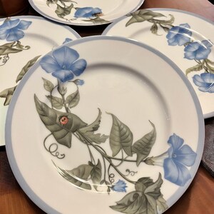 K&ouml;nnte beinhalten: Set aus vier wei&szlig;en Keramikplatten mit hellblauem Rand. Jede Platte zeigt ein detailliertes Blumendesign aus blauen Prunkwinden, gr&uuml;nen Bl&auml;ttern und einem kleinen Marienk&auml;fer.