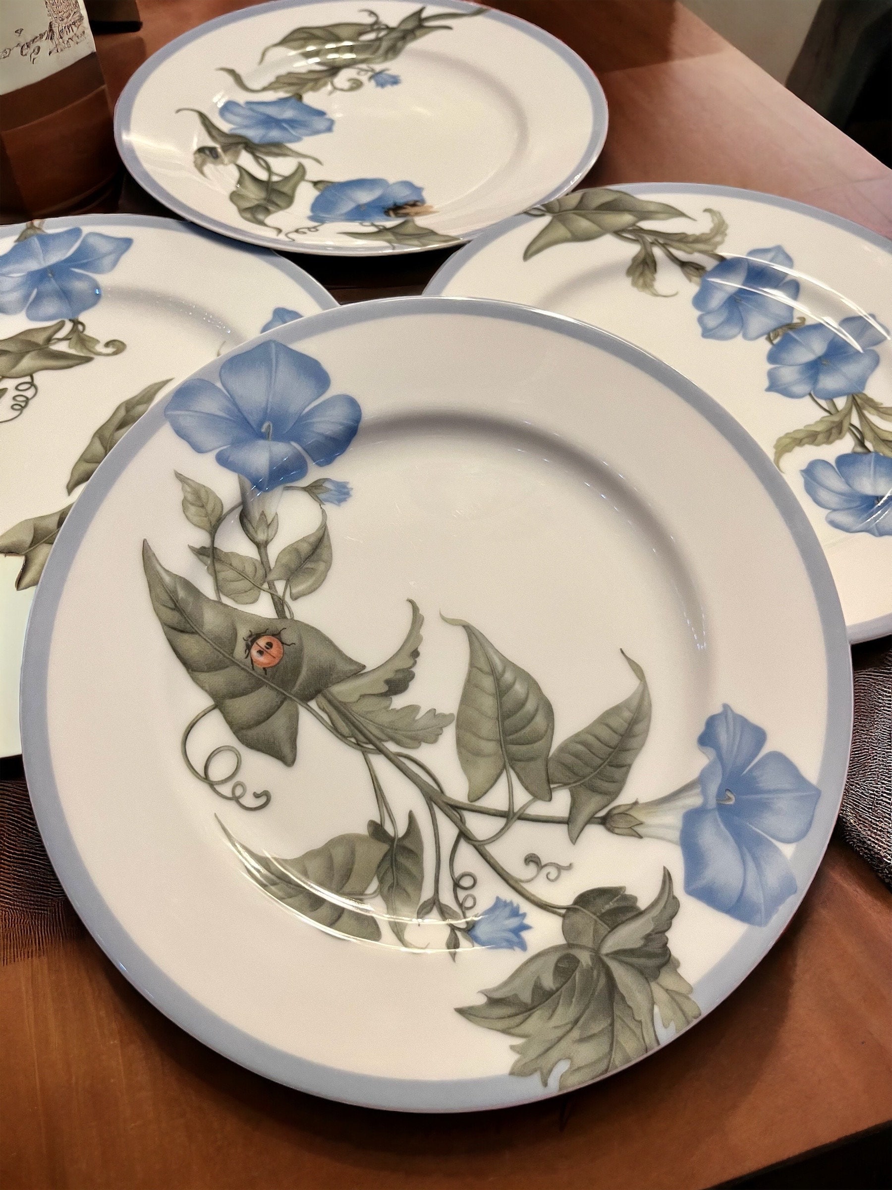 Williams-Sonoma - Set of 4 Salad Plates 8” Spring Blue Flowers & Bugs - Made in Japan