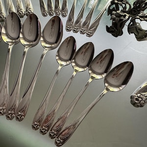 Pu&ograve; includere: Una collezione di cucchiai in metallo color argento lucido disposti in file, ognuno caratterizzato da un motivo floreale decorativo alla base del manico. Due portatovaglioli in metallo scuro decorati con intricati disegni di foglie e fiori sono posizionati vicino.