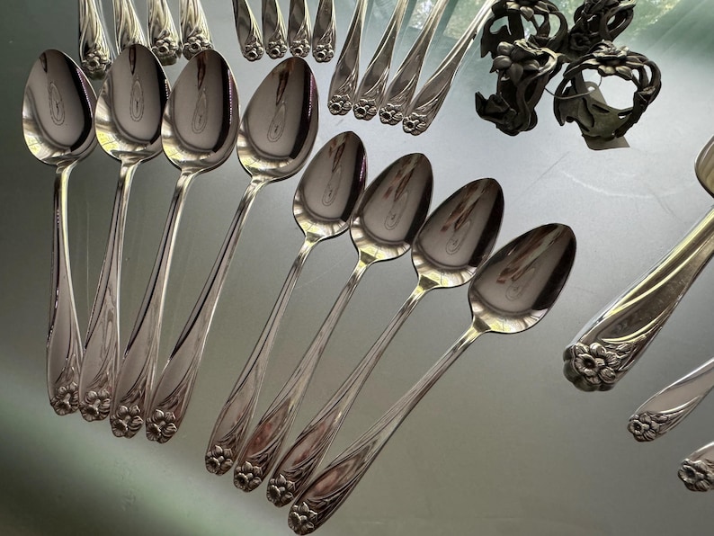 Pu&ograve; includere: Una collezione di cucchiai in metallo color argento lucido disposti in file, ognuno caratterizzato da un motivo floreale decorativo alla base del manico. Due portatovaglioli in metallo scuro decorati con intricati disegni di foglie e fiori sono posizionati vicino.