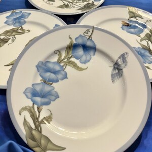 K&ouml;nnte beinhalten: Ein Satz von vier wei&szlig;en Keramiktellern mit hellblauem Rand. Jeder Teller zeigt ein Blumendesign aus blauen Prunkwinden, gr&uuml;nen Bl&auml;ttern und einem Schmetterling oder Insekt. Die Teller sind auf einer blauen Oberfl&auml;che angeordnet.