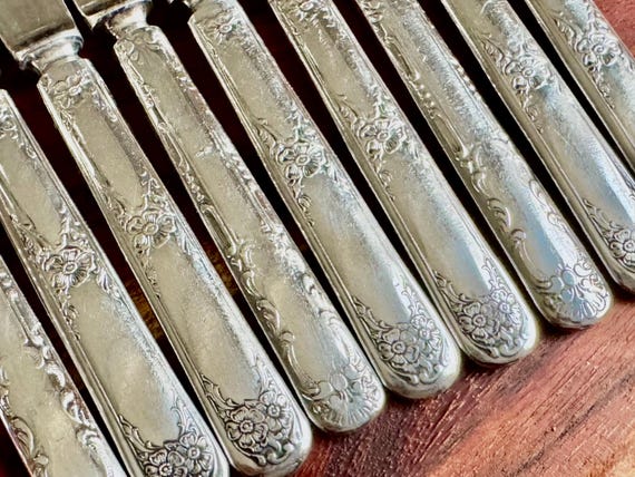Vintage Wm. Rogers Silverplate Fruit or Butter Knives – Set of 9 – Floral Handles