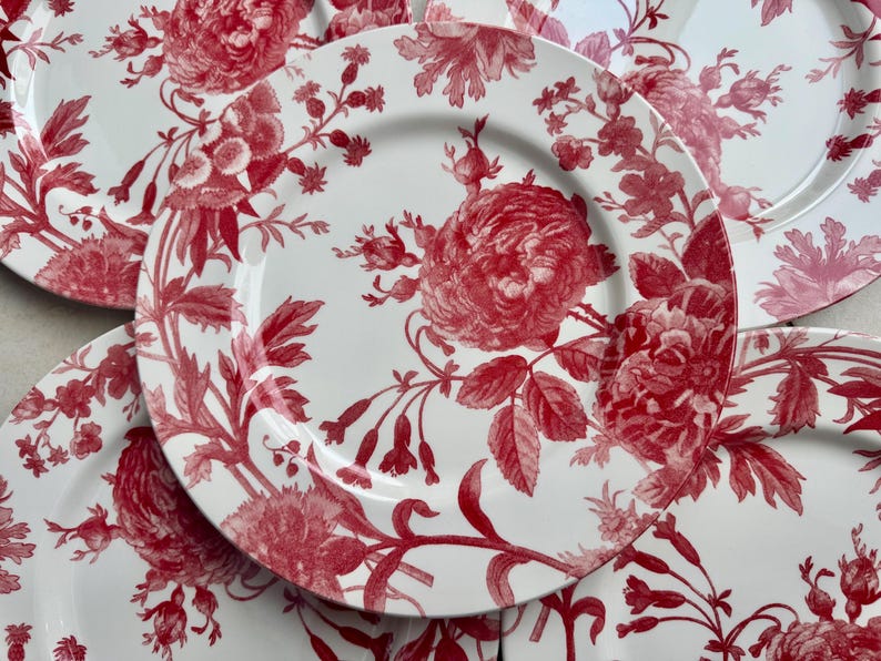 New Vintage Style Transferware - Dinner Plates 11” - Royal Stafford England bild 3